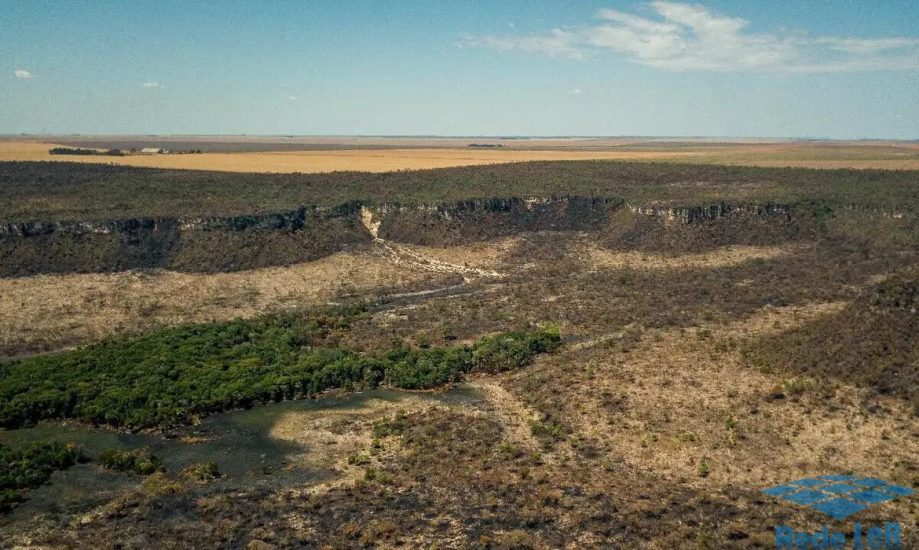 Leia mais sobre o artigo Governo monta força-tarefa para conter desmatamento no Cerrado