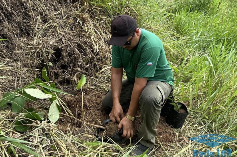 Leia mais sobre o artigo Anchieta: Nascente, afluente do rio Joeba, é recuperada com plantio de árvores