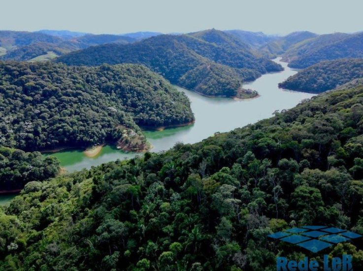 Leia mais sobre o artigo Dia Nacional da Mata Atlântica: Espírito Santo registra diminuição de quase 33% no número de desmatamento ilegal