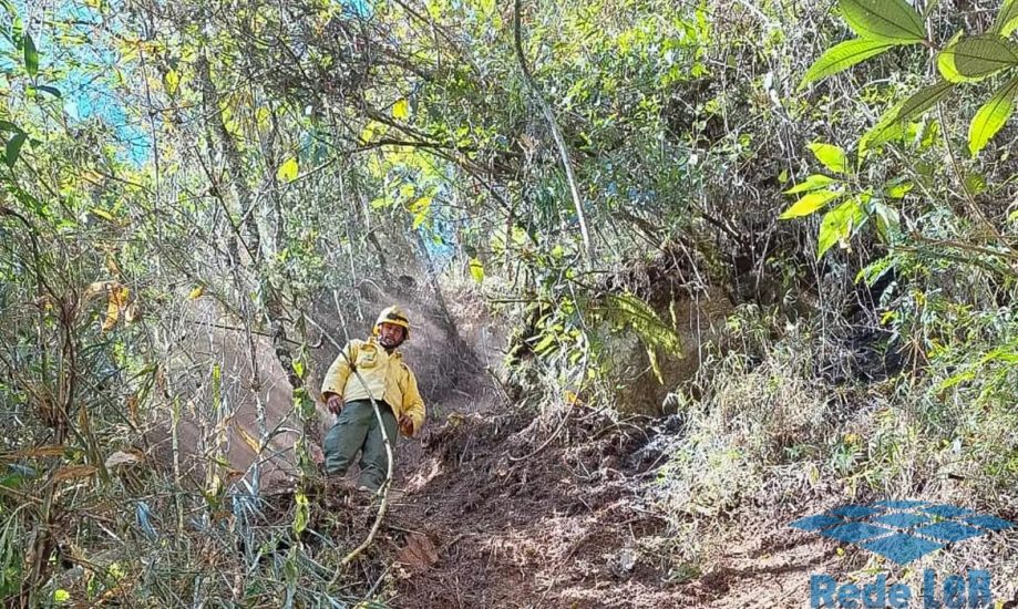 Leia mais sobre o artigo Após oito dias, incêndio no Parque Nacional do Itatiaia é extinto