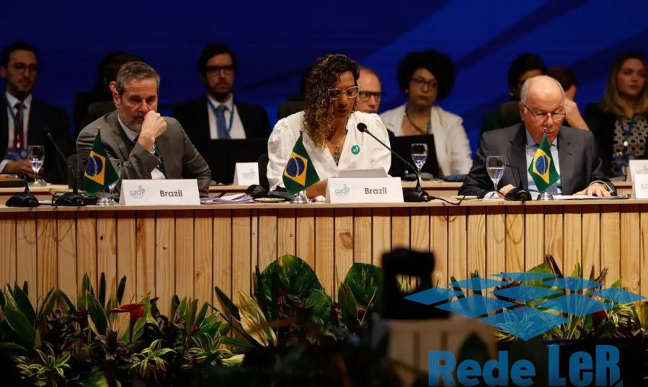 Leia mais sobre o artigo No G20, Brasil reafirma compromisso de combate ao racismo