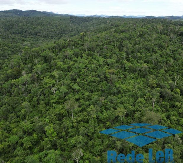 Leia mais sobre o artigo Dia mundial de proteção às florestas: Saiba como é feita a defesa florestal no Espírito Santo