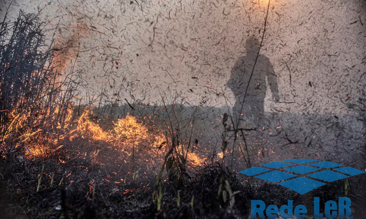 Leia mais sobre o artigo Focos de incêndios no Brasil já são 76% maiores que em 2023