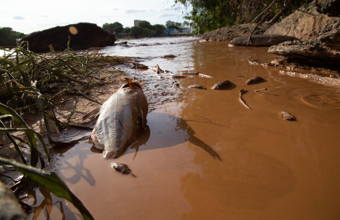 Leia mais sobre o artigo Municípios contestam pedido de suspensão de ações contra mineradoras no exterior