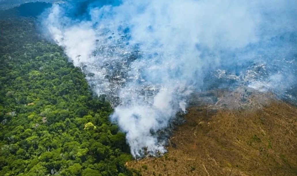 Leia mais sobre o artigo Estudo técnico aponta fragilidades do PL do licenciamento ambiental