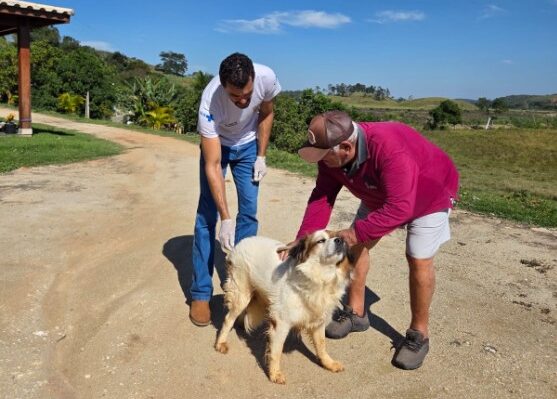 Anchieta divulga cronograma de vacinação antirrábica para cães e gatos no mês de julho