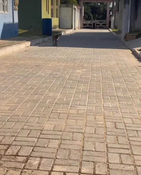 Pavimentação de ruas avança em Mãe-Bá